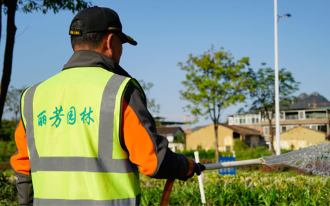 喜讯！尊龙凯时园林韶关市政道路养护项目获表彰！