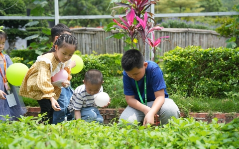 活动预告 | 这个夏天，多场自然教育活动将在尊龙凯时园林园艺康养科普基地精彩上演